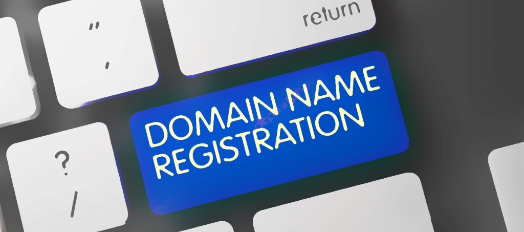 Web Domain Name Signing Up Basics 1