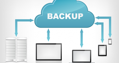 A Bushes For Internet Back-Up 3