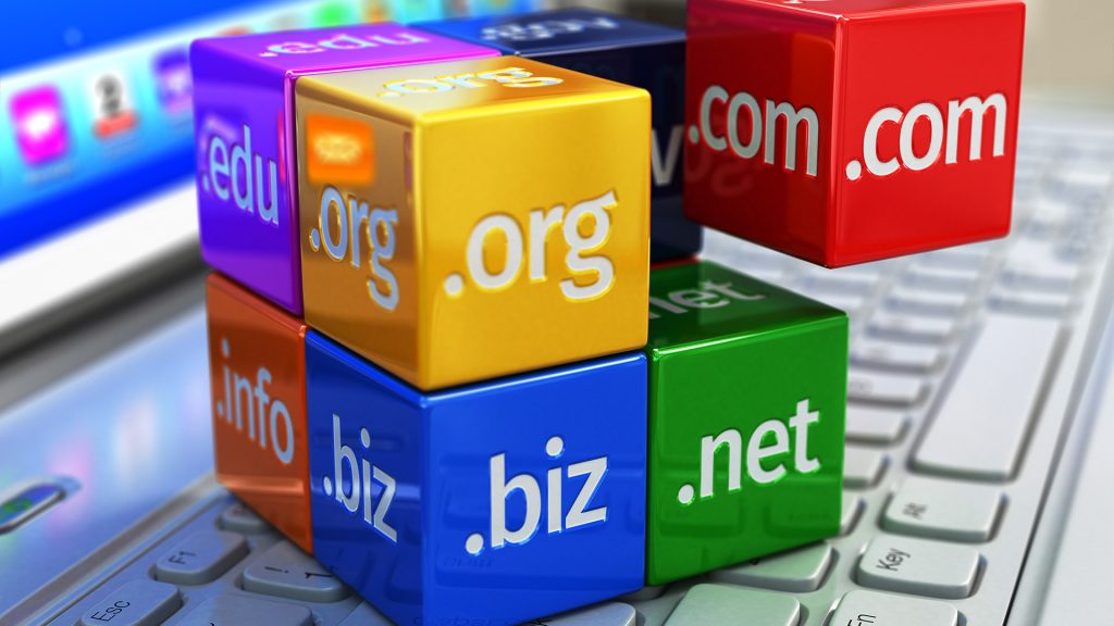 Choosing A Web Site Domain Name The Proper Way 1