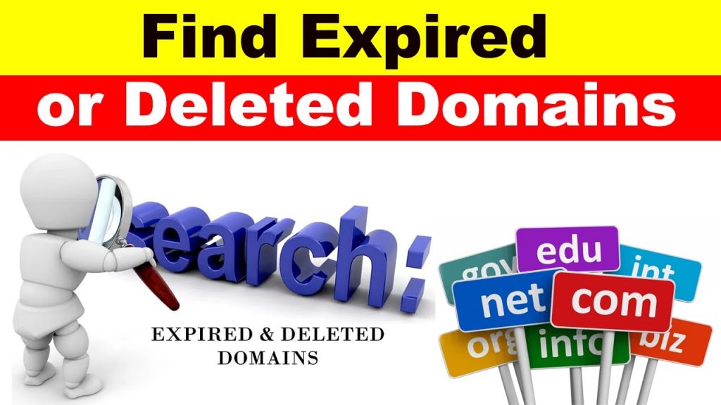 Finding A Market With Web Domain Name Expirations 1