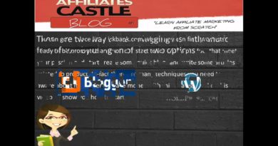 Blogging For Dummies - Tips