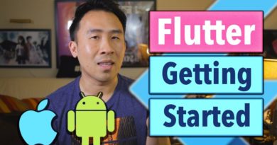 Flutter Getting Started: Can You Build iOS Android Apps with One Language?