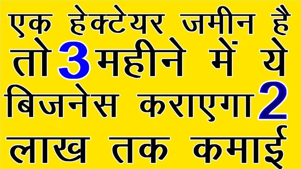 high profit agricuture business in hindi smart business ideas - BUSINESS TIPS & TRICKS