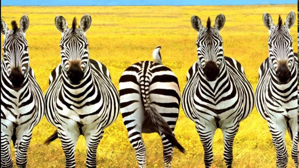 Be Different - Sales & Business Tips - India