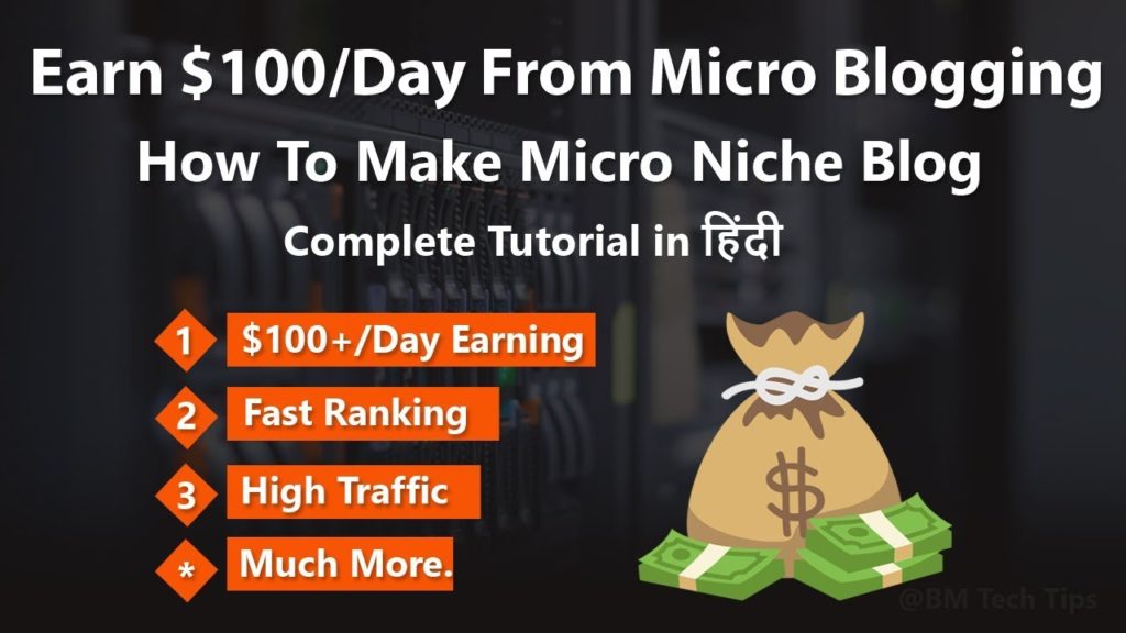 Micro Niche Blog | Earn $100/Day From Micro Blogging 2019