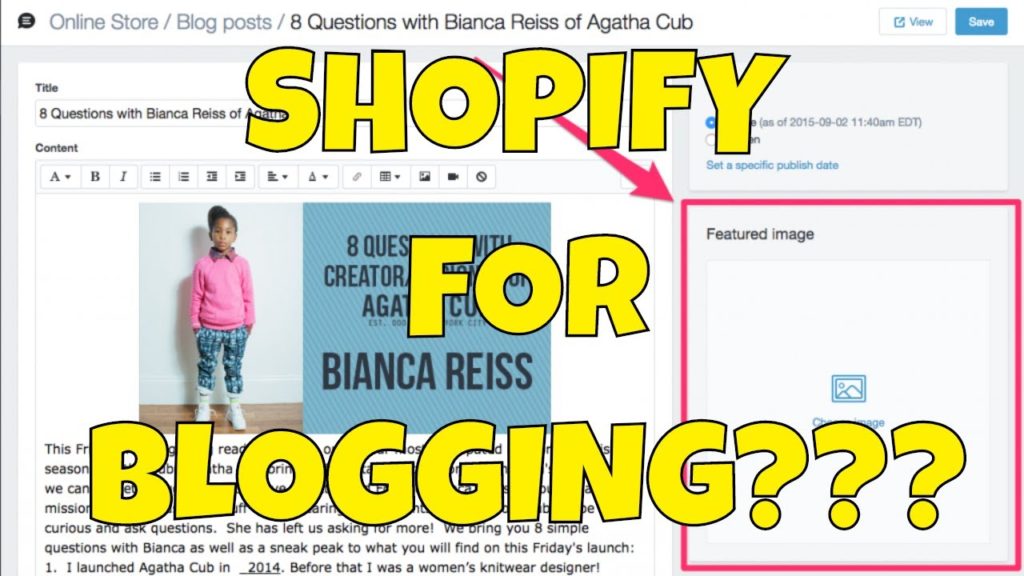 Using Shopify as a Blogging Platform Instead of Wordpress, is that Stupid?
