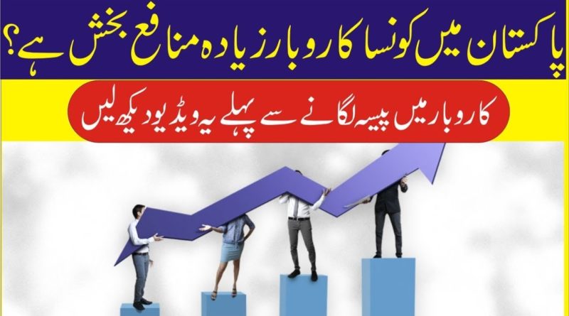 Which Business is More Profitable in Pakistan?