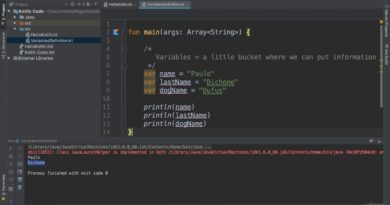 Kotlin Developer Masterclass - Build Android & Kotlin Apps : Kotlin Variables