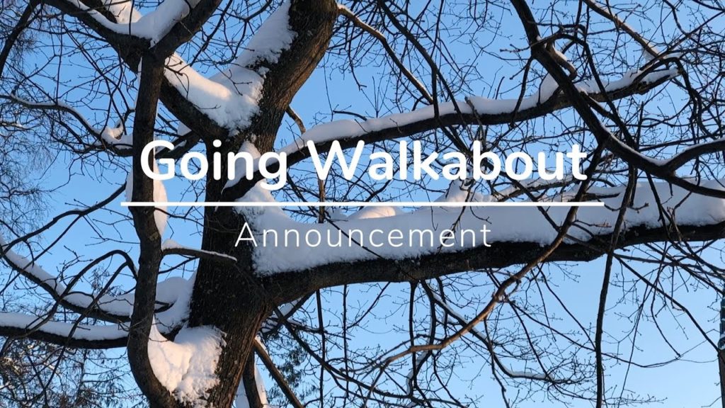 Going Walkabout - Announcement: I'm gonna build a mobile travel blogging app