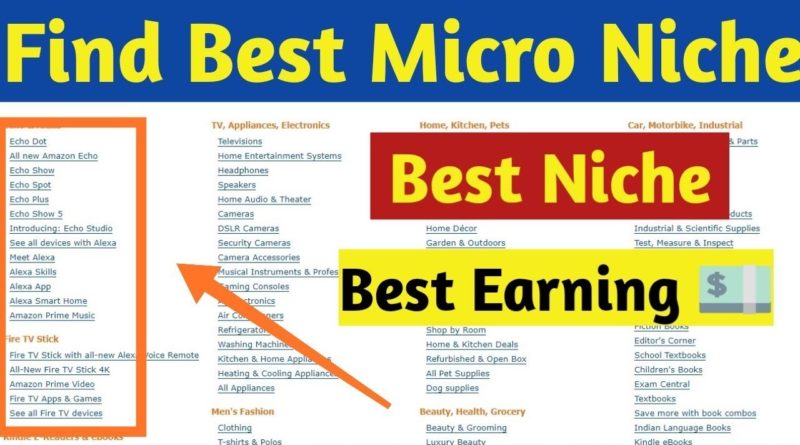 Select Super profitable Micro Niche Ideas For Blogging 2019
