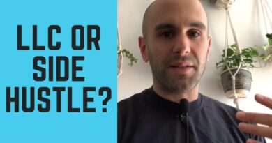 Reddit Business Question - Should I Make an LLC? (r/smallbusiness)