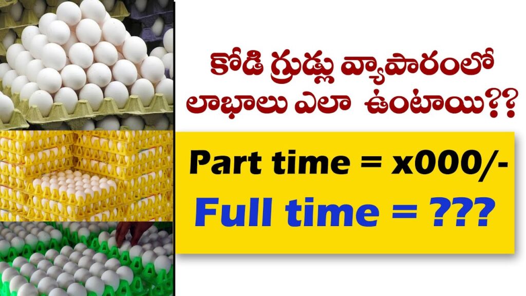 profitable Egg business details in telugu | business ideas in telugu | self employment | siva botcha
