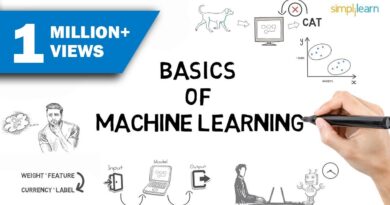 Machine Learning Basics | What Is Machine Learning? | Introduction To Machine Learning | Simplilearn