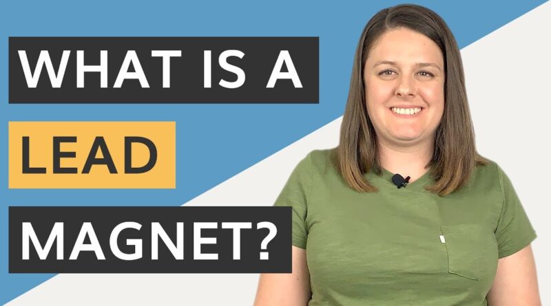 What is a Lead Magnet? [Free Business Tips]