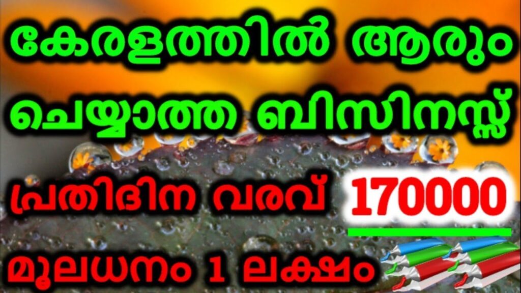കേരളത്തിലെ ഏറ്റവും പുതിയ ബിസിനസ് | New business ideas in malayalam | Business Tips and Tricks | NSBK