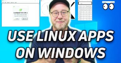 Open GUI apps on Windows Subsystem for Linux (and on Raspberry Pi)