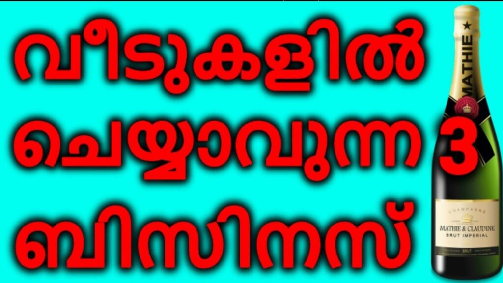 ചുരുങ്ങിയ ചിലവിൽ 3 ബിസിനസ് ചെയ്യാം | New business ideas in malayalam | Business TIps & Tricks | NSBK