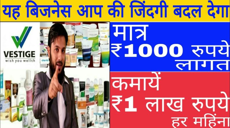 Best Vestige Business Plan In Hindi 2019 !!!