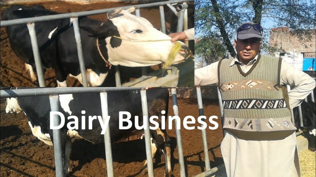 Dairy farming business in Pakistan|Cow farming|Dairy farming||farming tips