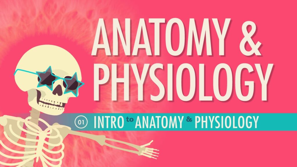Introduction to Anatomy & Physiology: Crash Course A&P #1 1 Introduction to Anatomy & Physiology: Crash Course A&P #1
