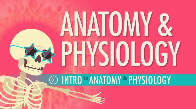 Introduction to Anatomy & Physiology: Crash Course A&P #1