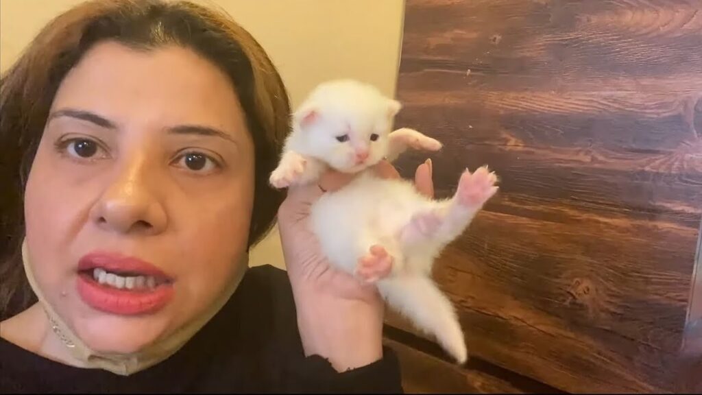 Iski MAA se PANGA le liya | Ss Vlogs :-) 1