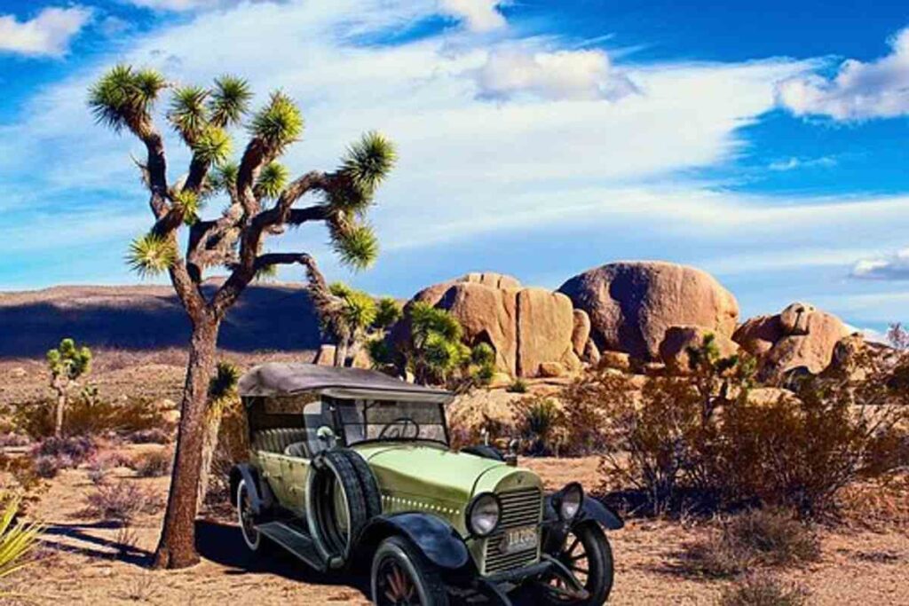Shared Marrakech to Fes desert tour 3 Days