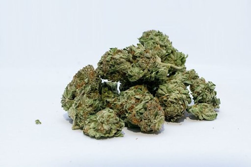 Wonder skunk strain