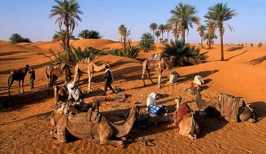 Marrakech to fes desert tour 4 days