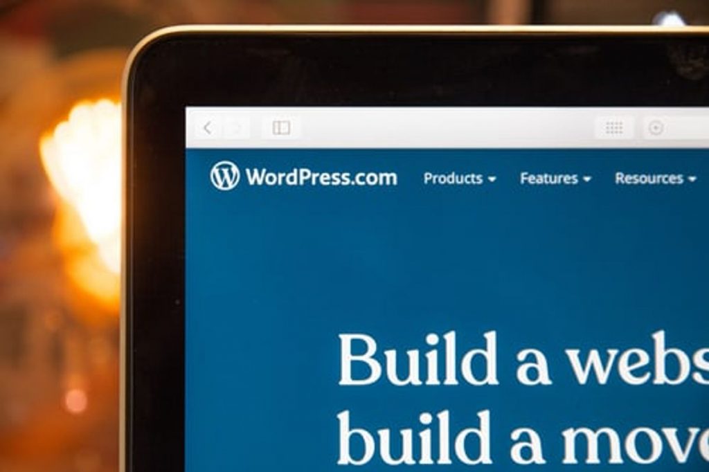 WordPress eCommerce theme