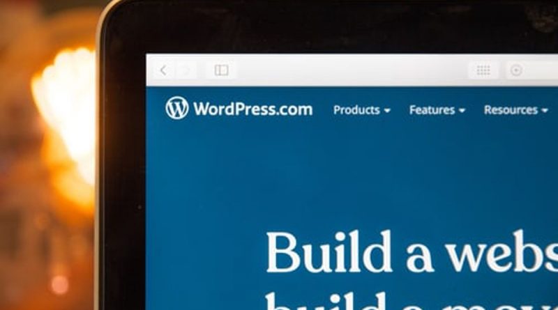 WordPress eCommerce theme