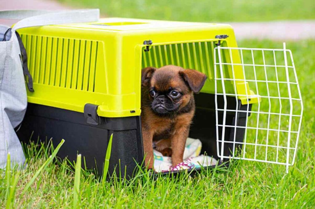 x large dog crates