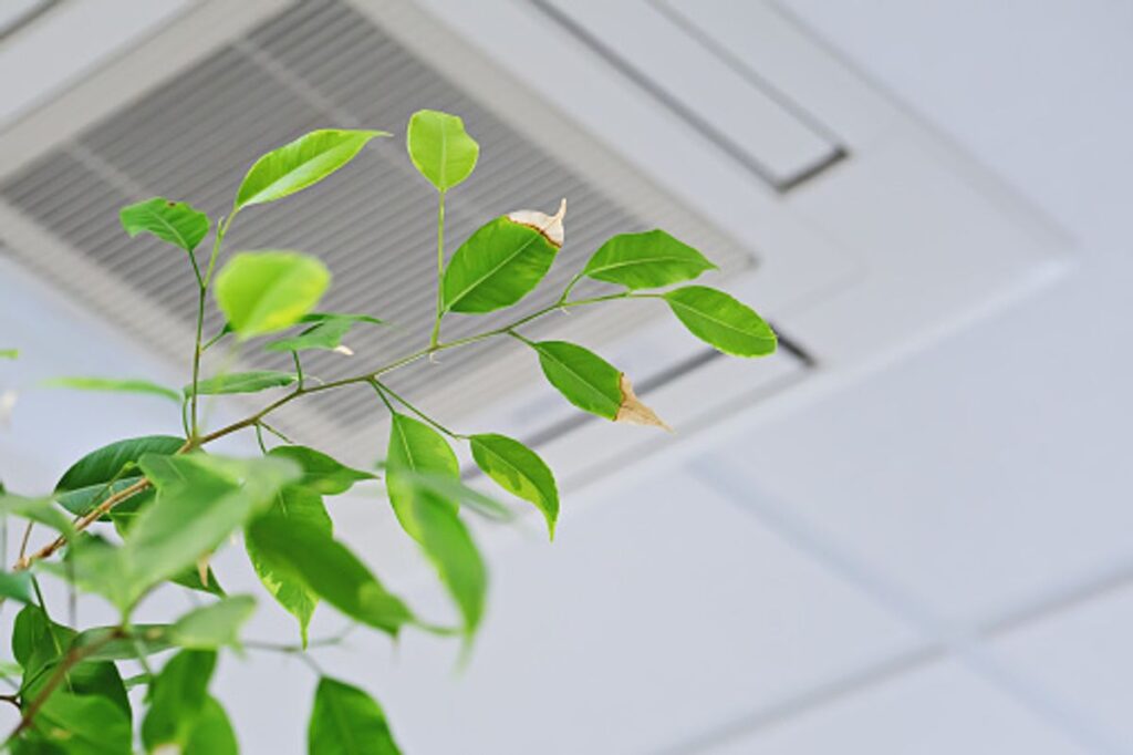 Indoor Air Quality in Santa Rosa 1 Indoor Air Quality Santa Rosa CA