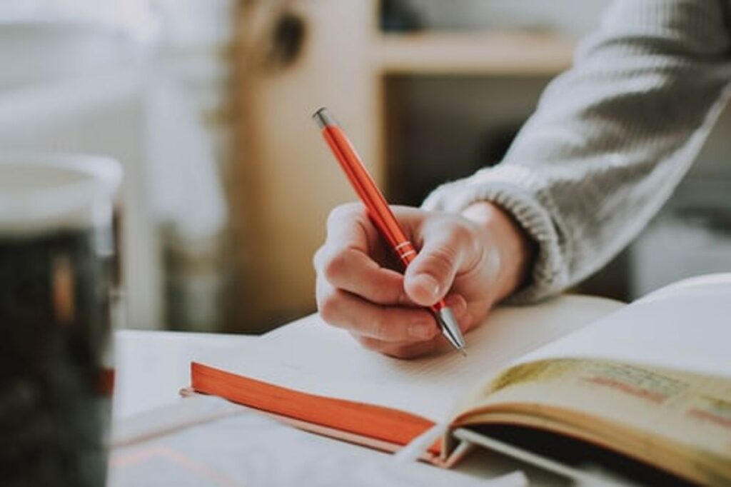 pay for economics essay