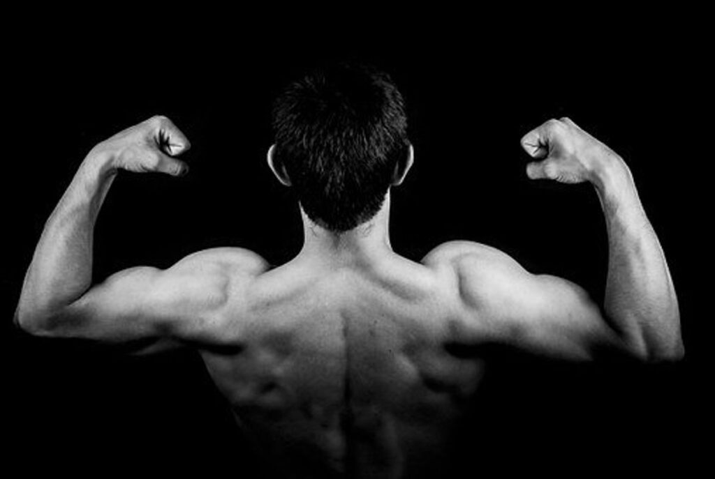 How Do You Get Muscles