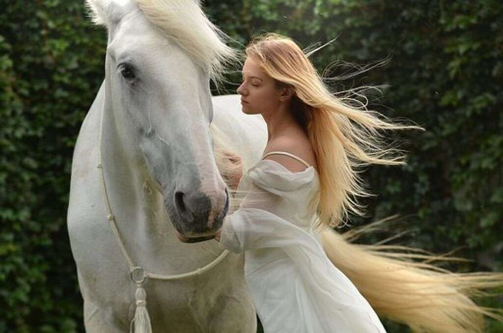 How To Take Care of a Horse