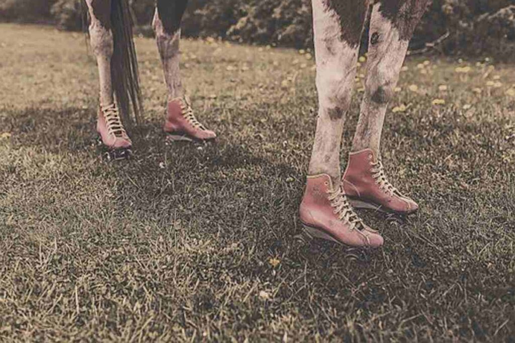 How to Put Horse Shoes on Horses