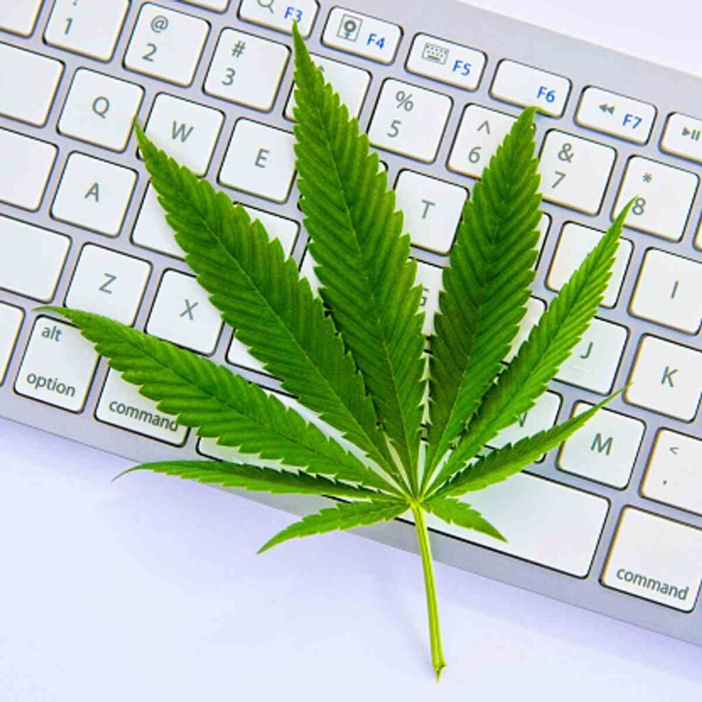 weed delivery Amsterdam