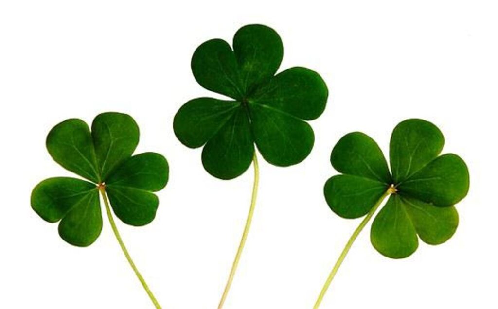 What Is Luck