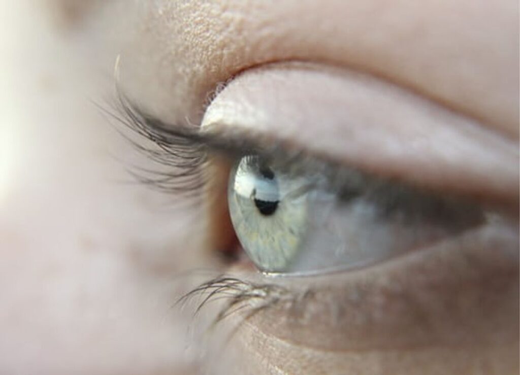 circle lenses