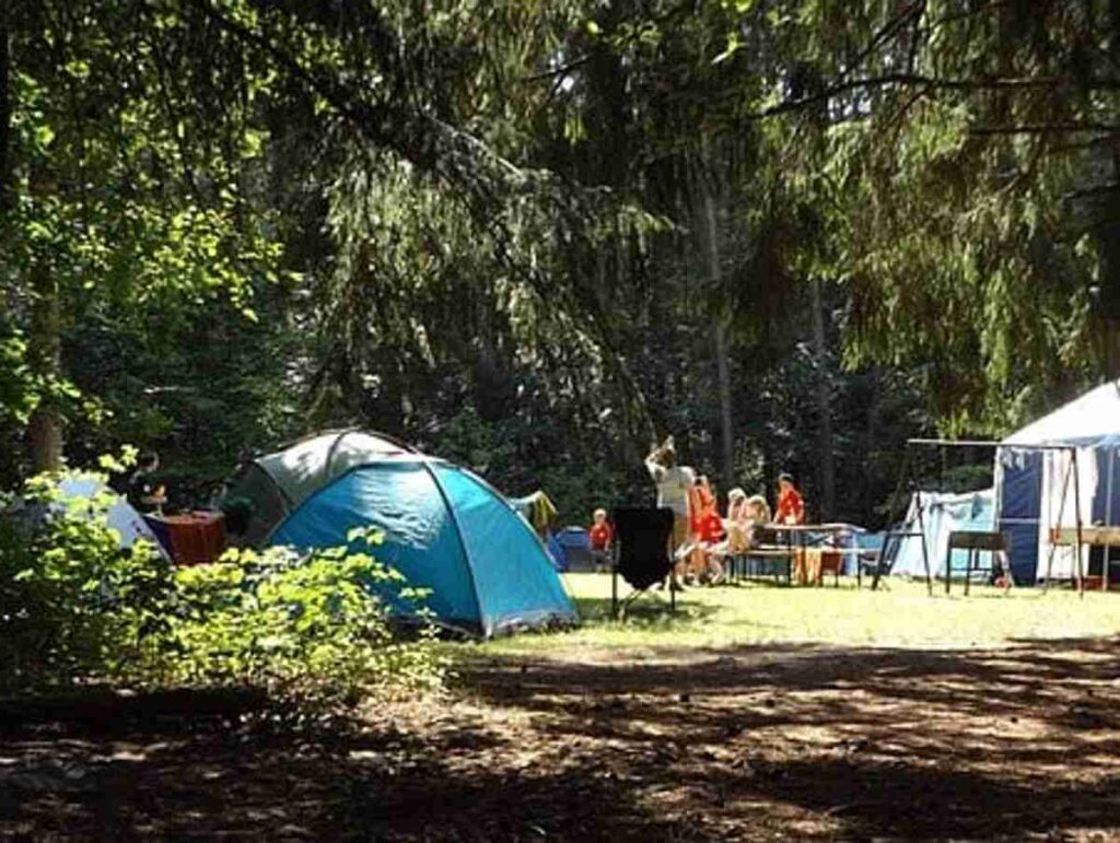 How To Pick A Summer Camp