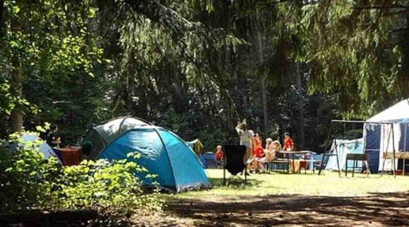 How To Pick A Summer Camp