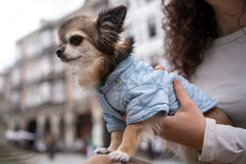 Learn more about your pets