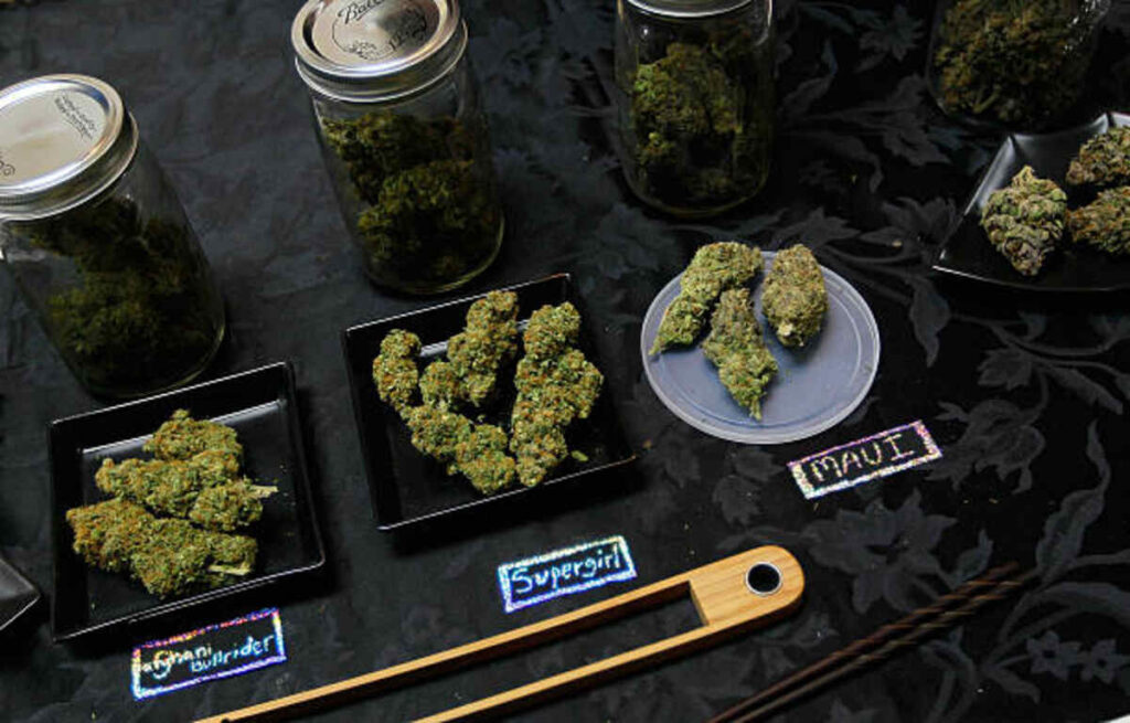 legal framework surrounding cannabis in New York