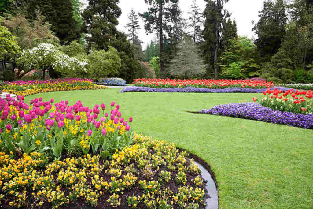 Landscaping