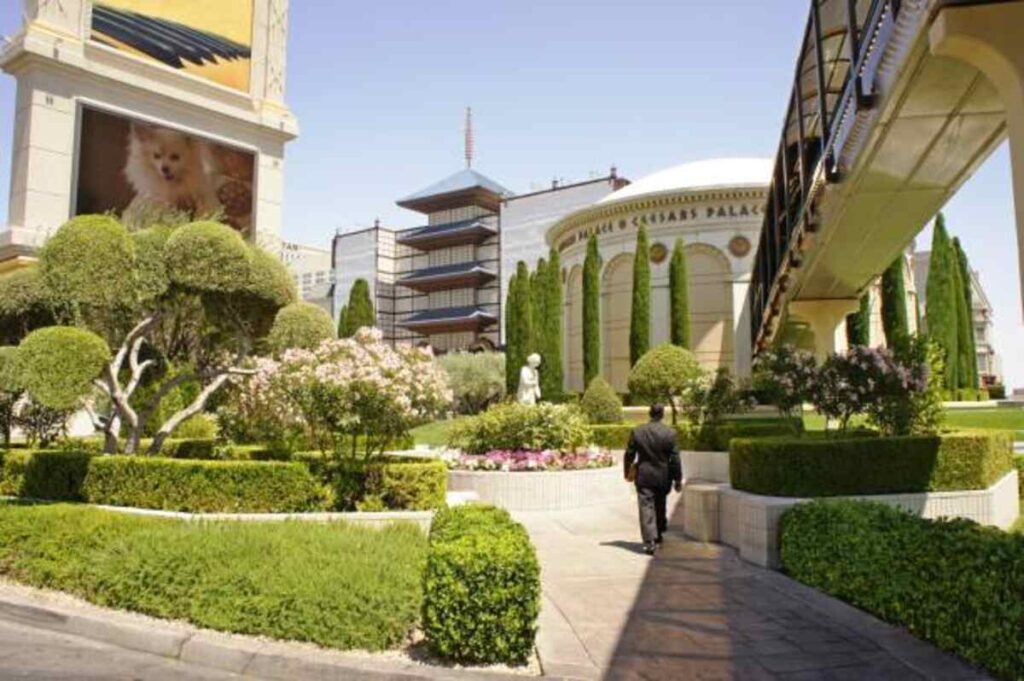 Las Vegas Landscaper