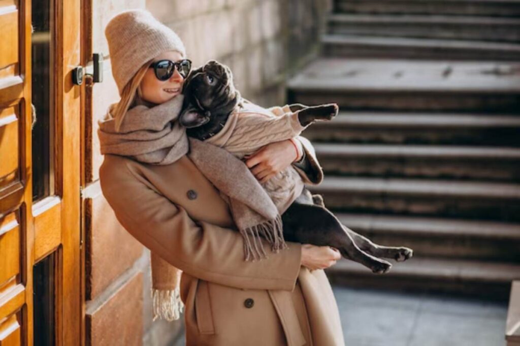 luxury dog harness and leash