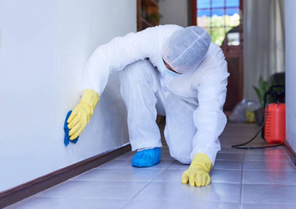 biohazard cleanup in Texas