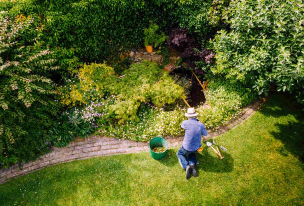 landscaping Los Gatos