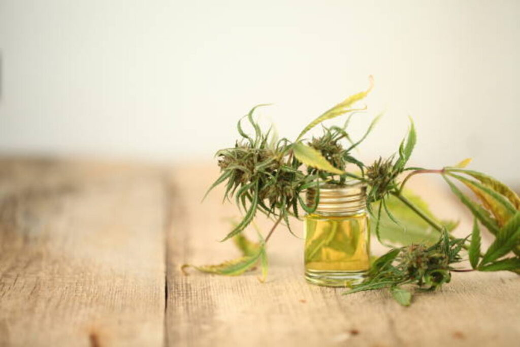 Best Benefits of Harbor City Hemp